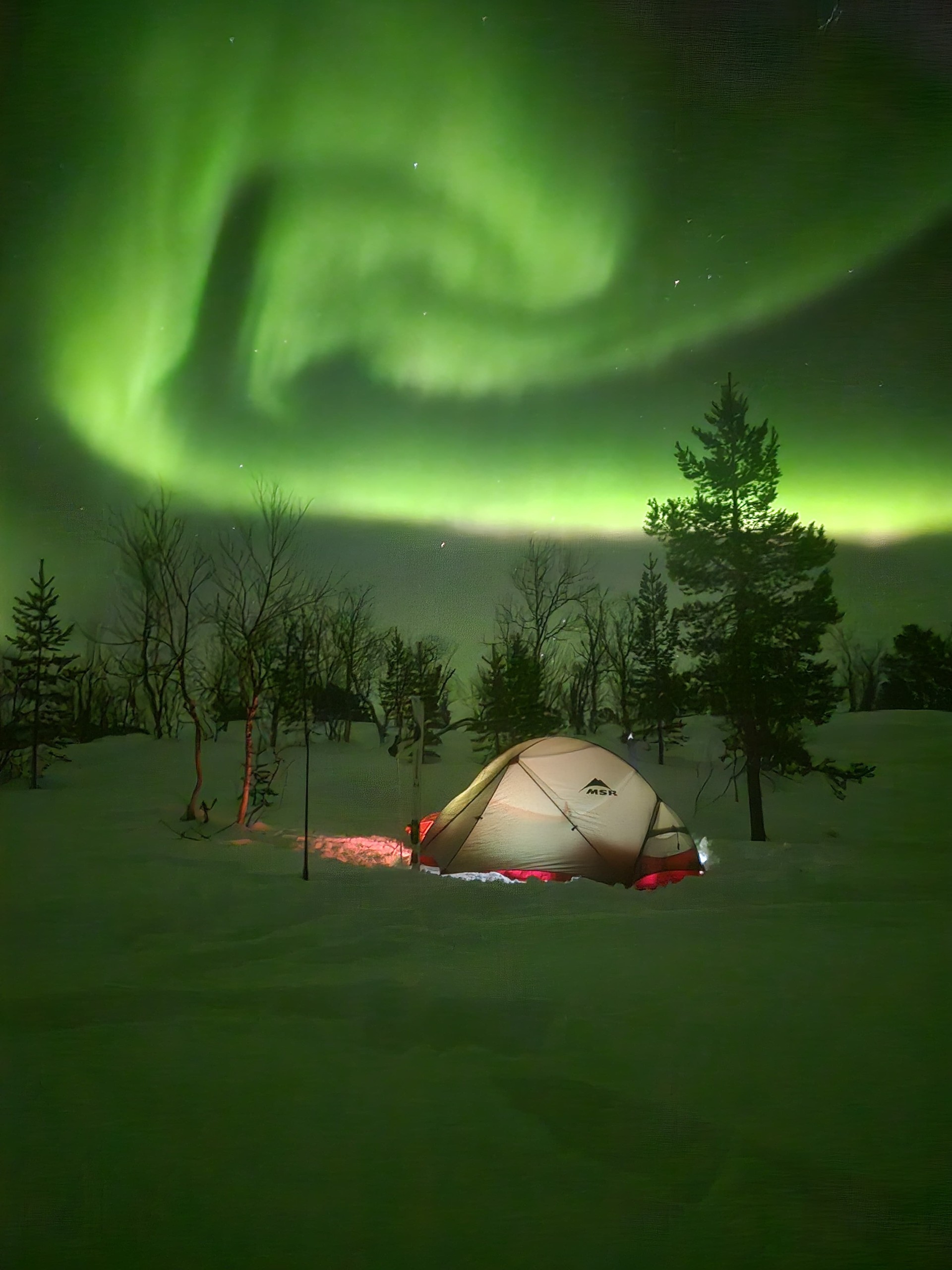 Tent in snowy landscape under vibrant green northern lights.