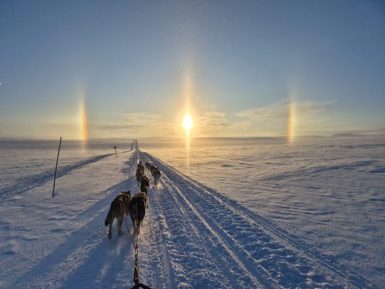 Dogs pulling a sled on a snowy trail under a sun halo.