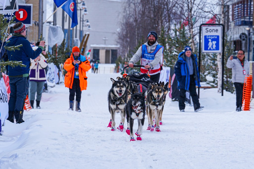 Musher in snow leads a sled dog team wearing pink booties during a race.