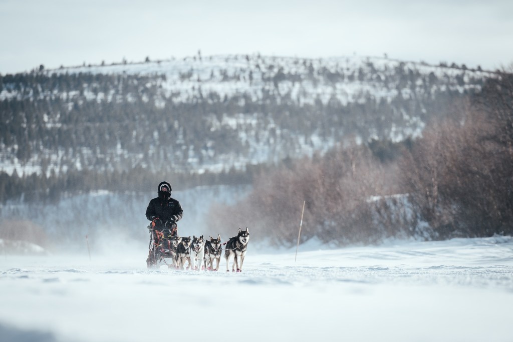Person dog sledding on snowy landscape with hills in background.