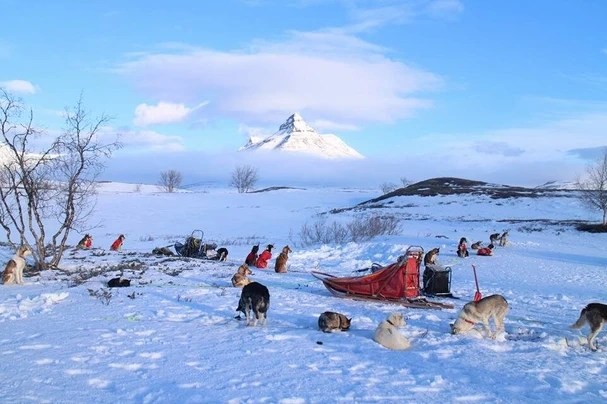 Snowy landscape with sled dogs and red sled near a mountain.