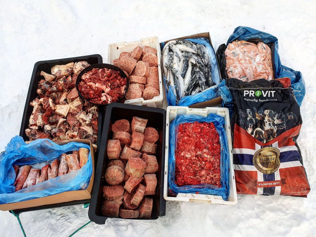 Assorted raw meats and frozen fish in trays on a snowy surface.