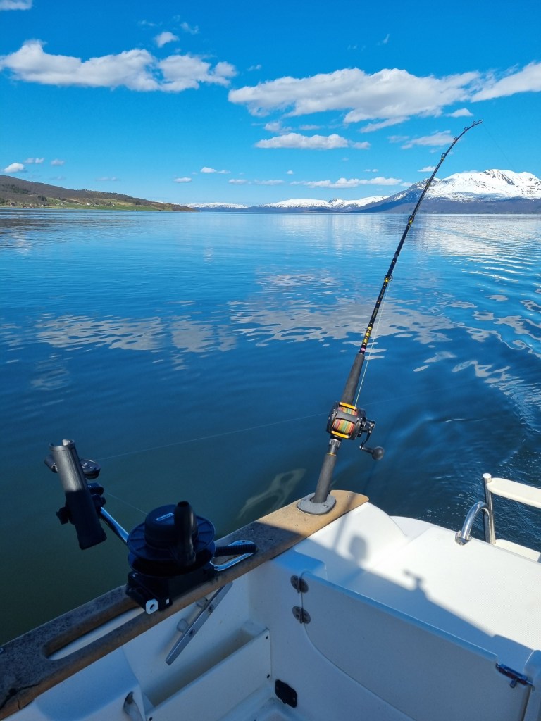 Fishing rod on boat with snowy mountains and calm blue lake view.