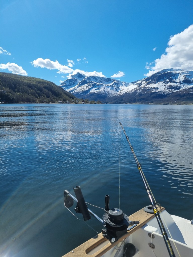 Fishing rods on a boat with snowy mountain lake view.