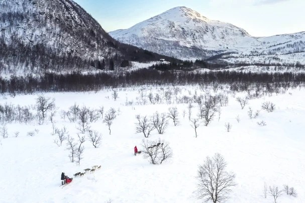 Dog sleds traverse snowy landscape with mountains in the background.