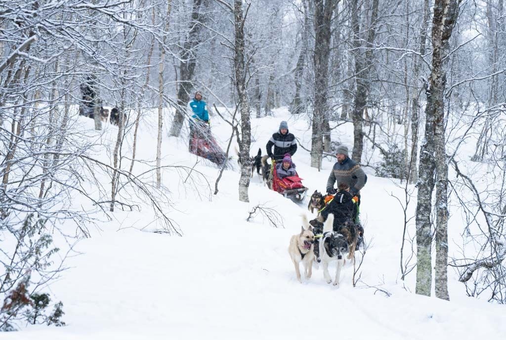 Two dog sled teams racing through snowy forest with riders.