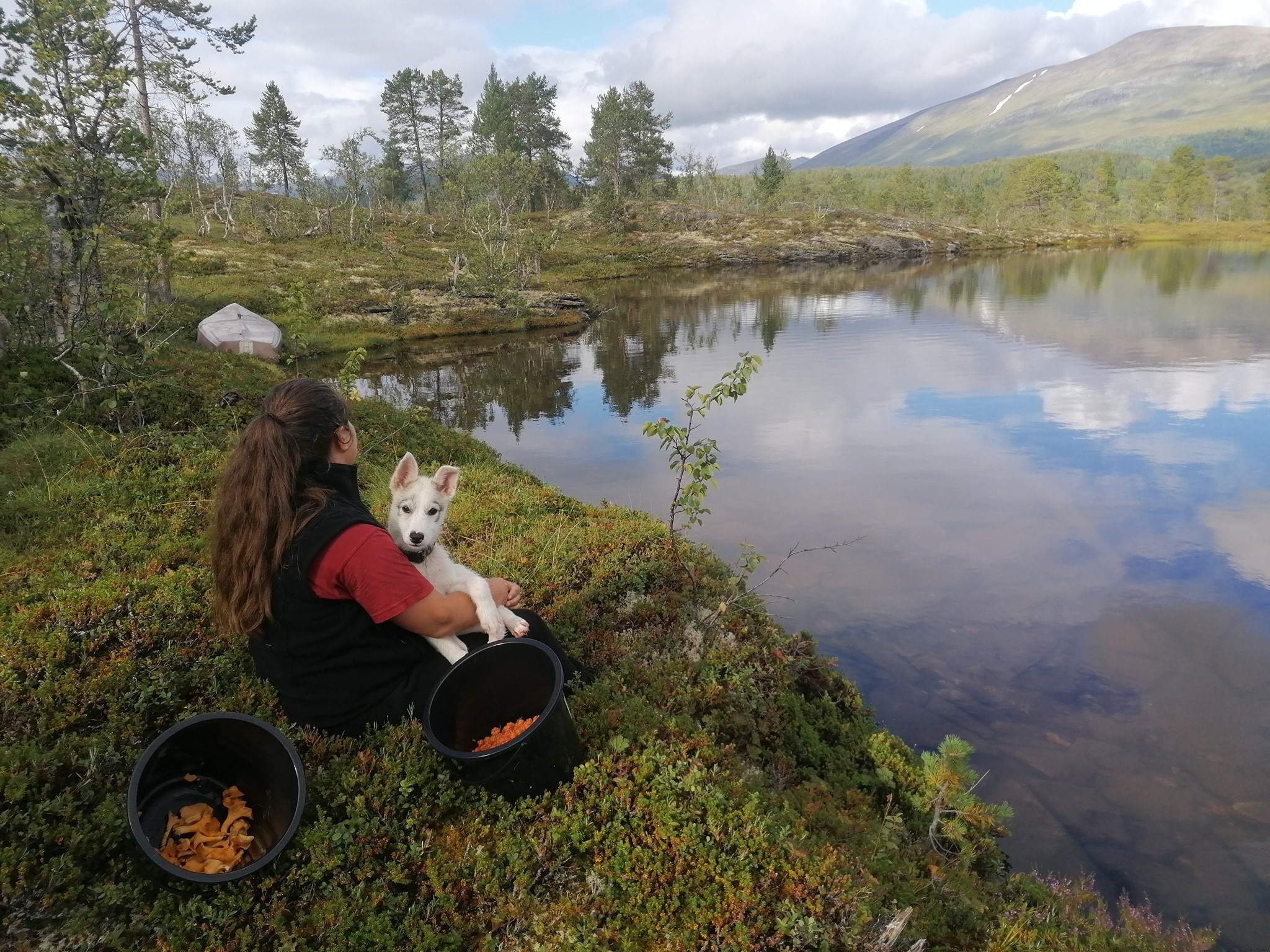 Person with a dog sitting beside a lake in a forested area.