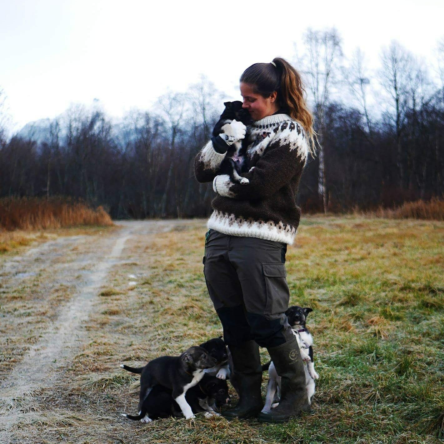 Person holding a puppy, surrounded by more puppies on a grassy path.