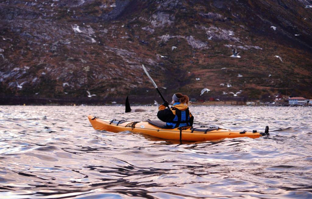Person kayaking on a lake with seagulls and mountain backdrop.