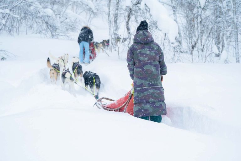 Person leading sled dogs through snowy landscape.